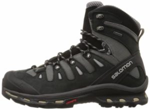 Salomon man's quest 4D 2 GTX hiking boot